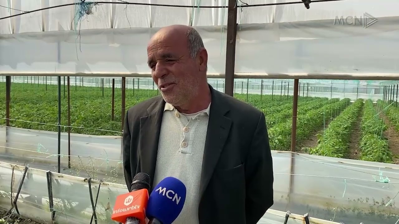 “Lakra e Brukselit” në Jagodinë / Fermerët hasin vështirësi në shitje: Çmimi shumë i ulët