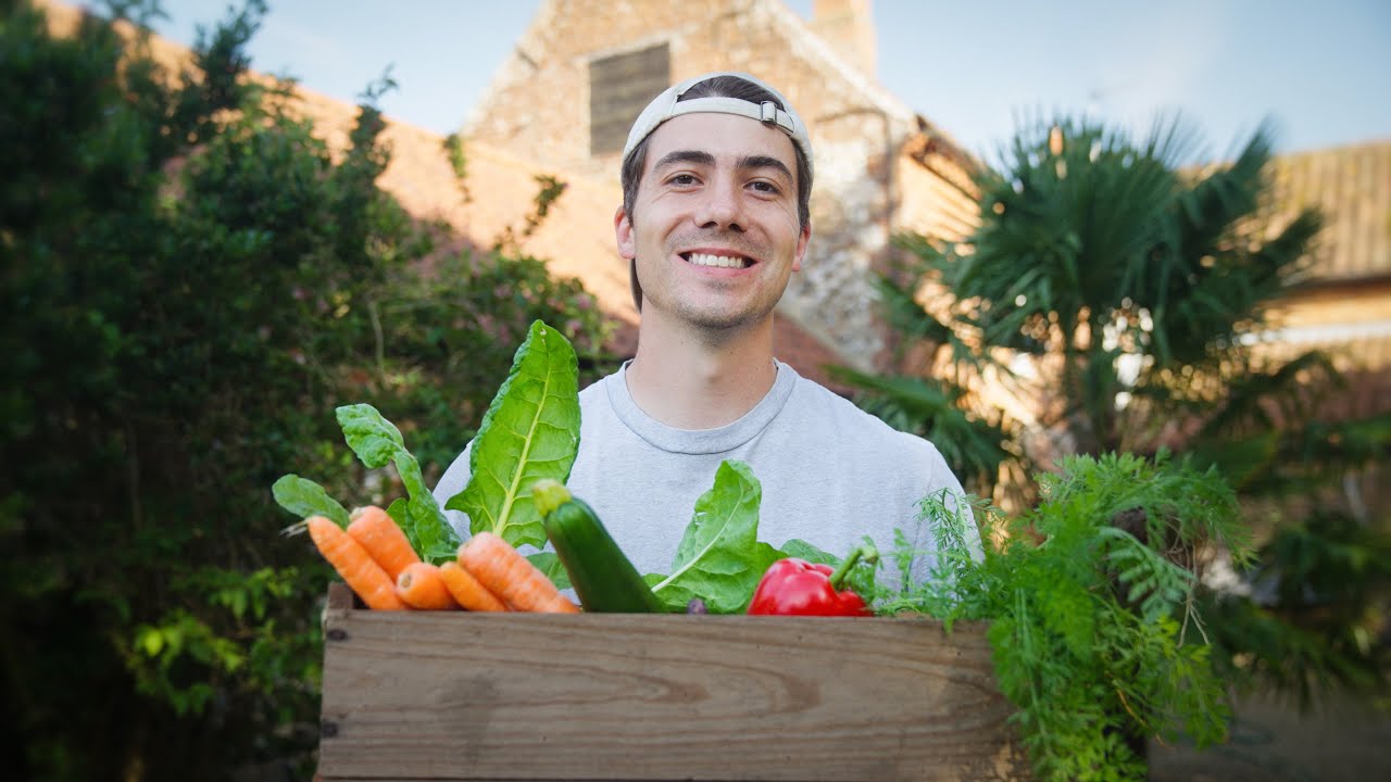 Why You Should Start Growing Your Own Vegetables 
