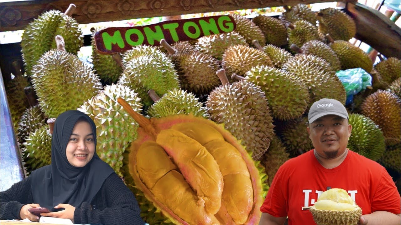BERBURU DURIAN RUNTUH di KEBUN DUREN BROMO!!
