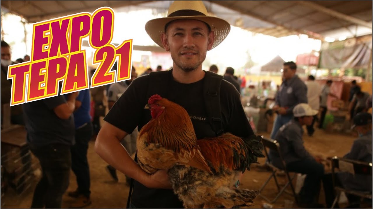Calzonazo Expo Tepatitlan 2021