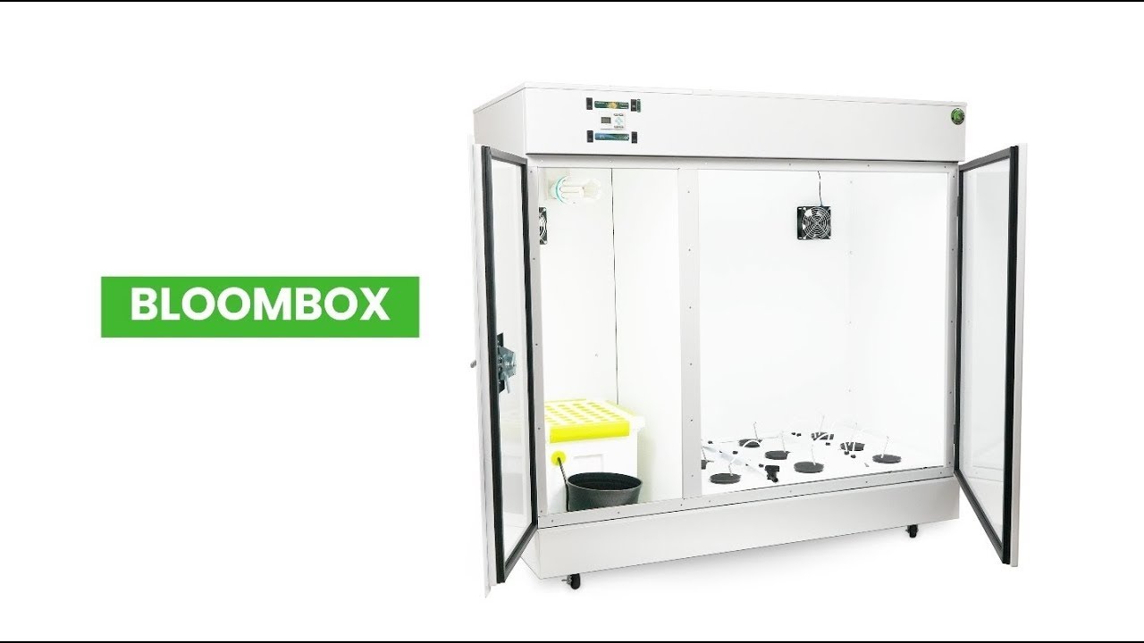 The Bloombox