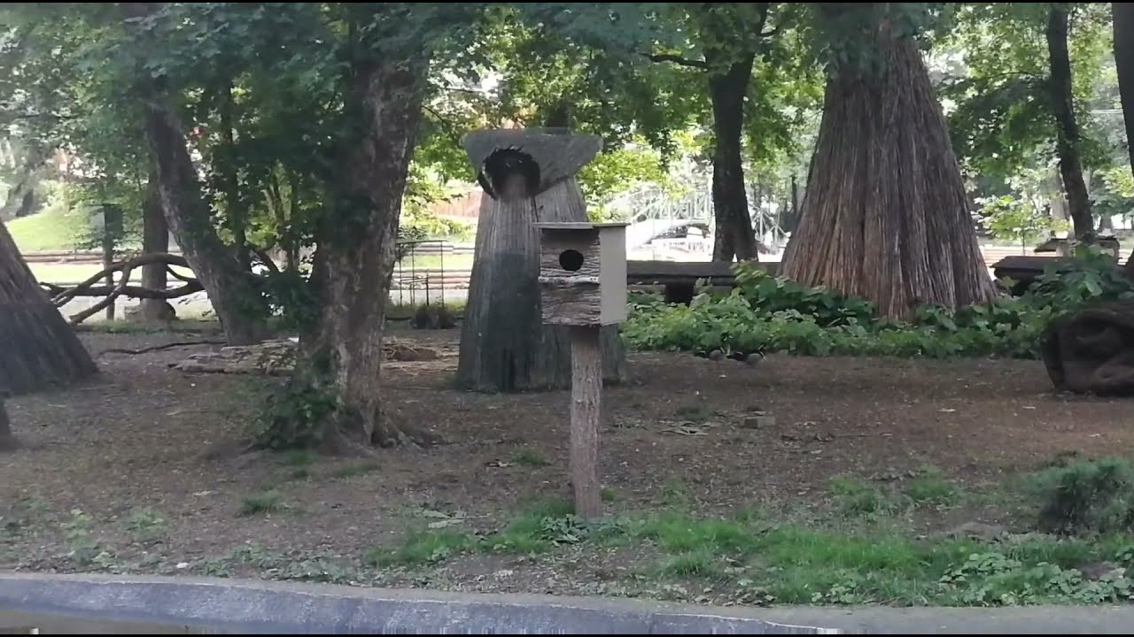 PARCUL ROMAN-RELAXARE LA SUPERLATIV