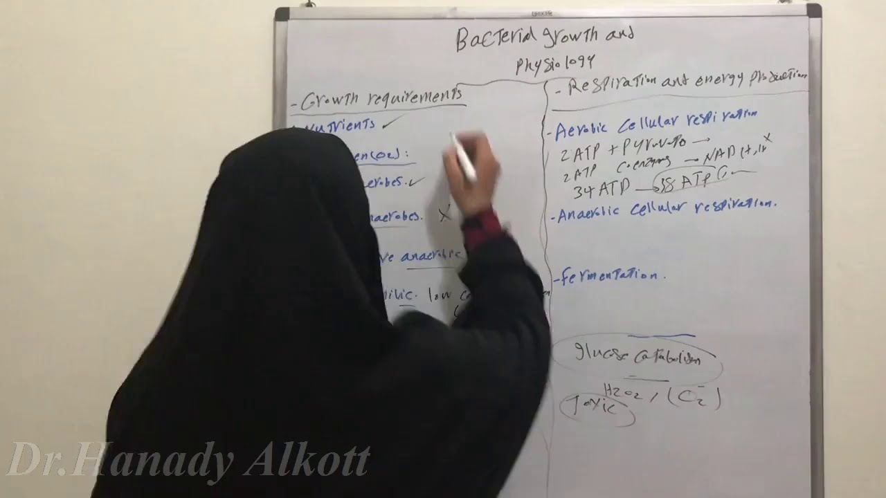 😲🤭معقولة البكتيريا بتتنفس🤭🤫(aerobic &anaerobic respiration)😱😱