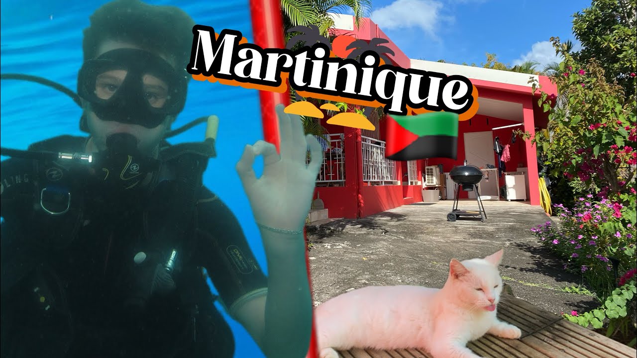 Mon voyage en Martinique