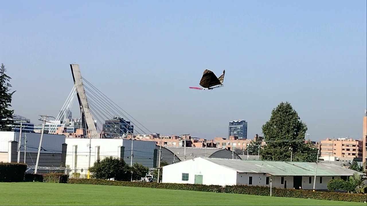 Flapping like Bird Robot  - Ornithopter