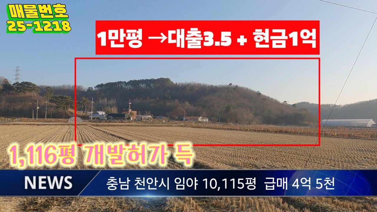 허가받은 임야 1만평 이상 