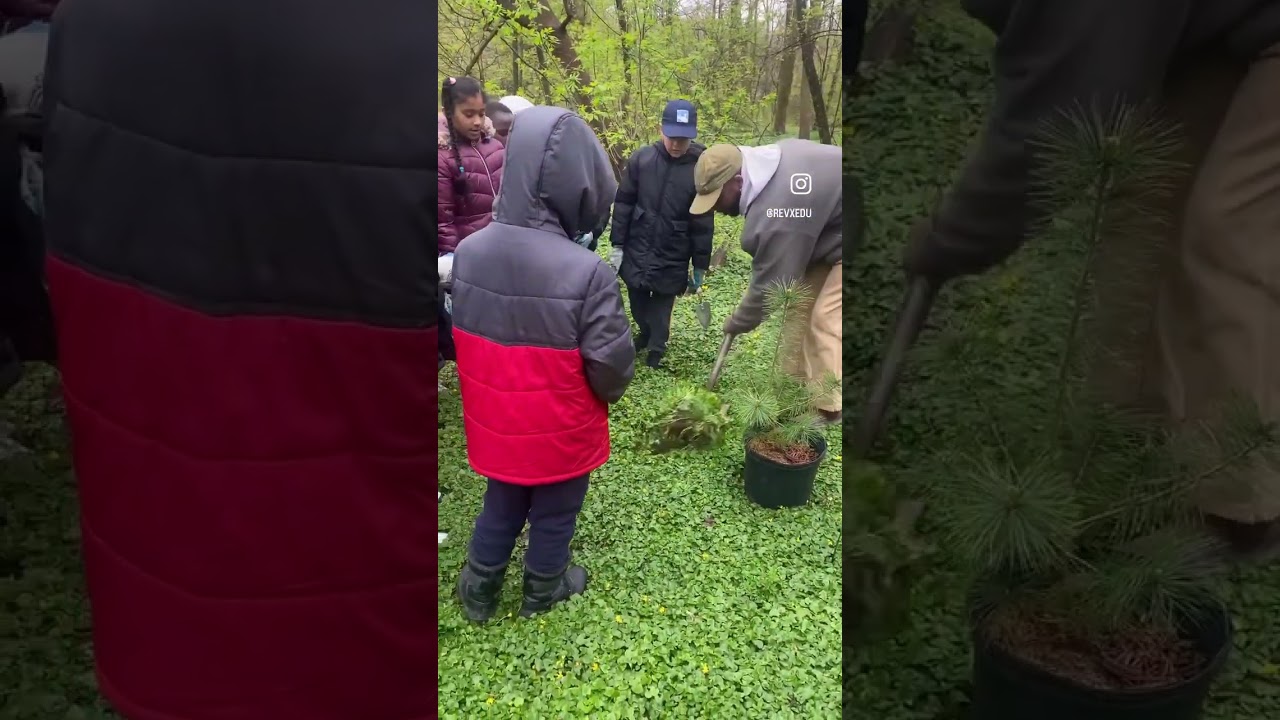 DEEDS - 2nd Grade Science - Saving Our Shorelines Part 3