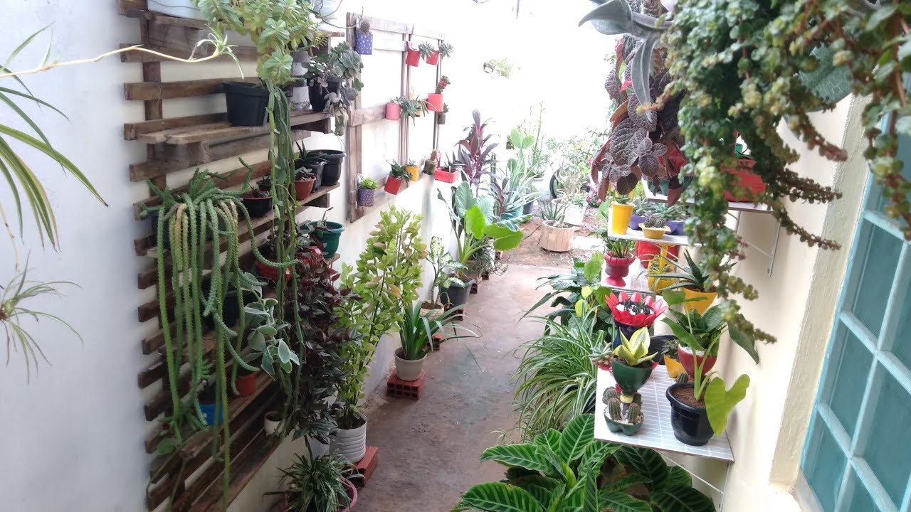 Quantos Vasos com plantas tem no meu quintal / Jardim em Vasos