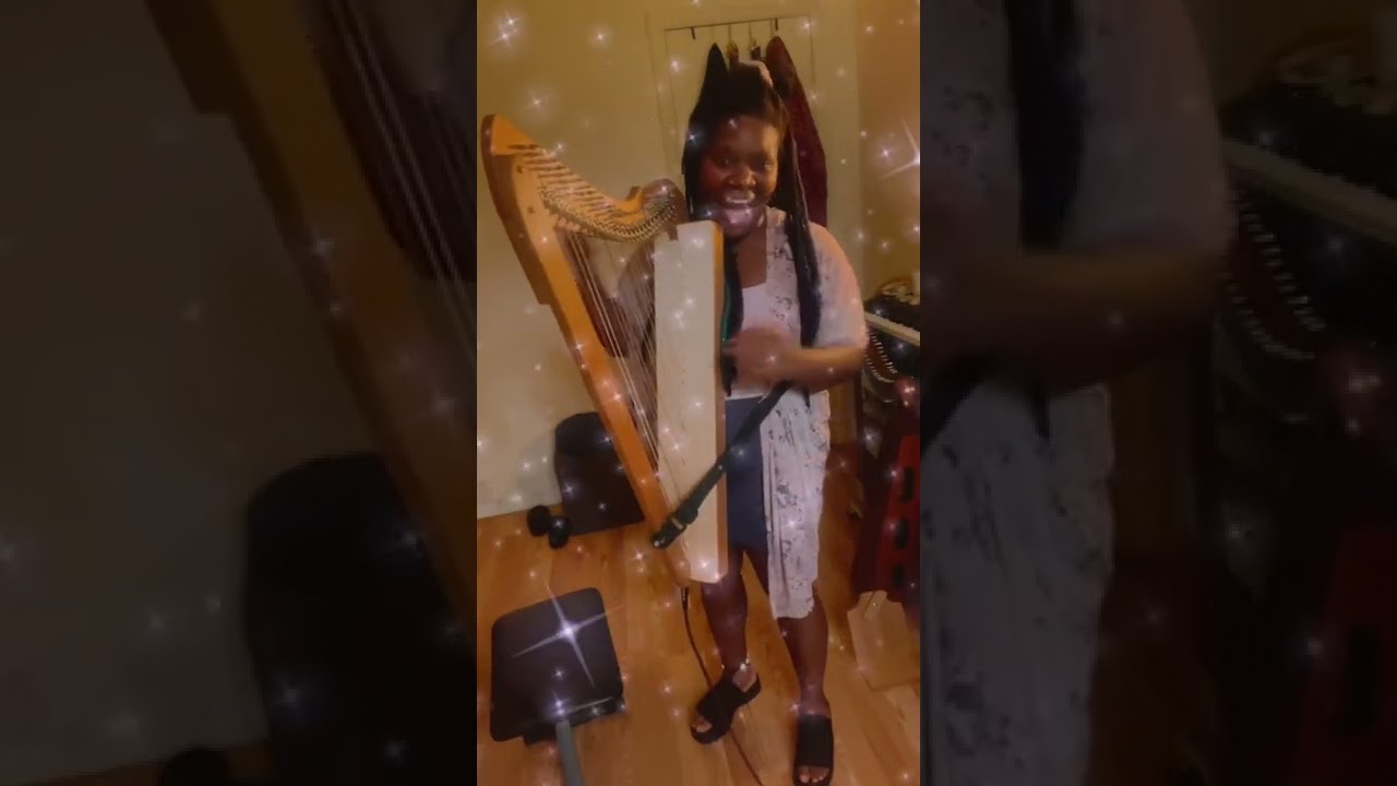 Unboxing Harpsicle&rsquo;s SE Fullsicle Pro Harp Package