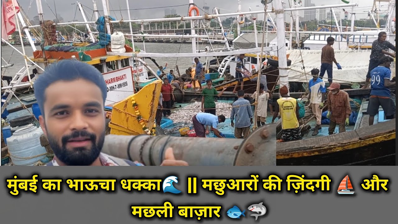 Mumbai ka Bhaucha Dhakka 🌊 || Machhuaaron ki Zindagi ⛵ aur Machhli Bazaar 🐟🦈