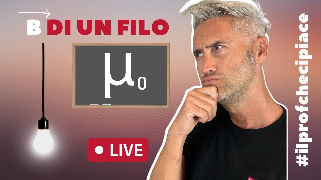 che cosa dice la legge di Biot-Savart? | Campo magnetico prodotto da un filo rettilineo