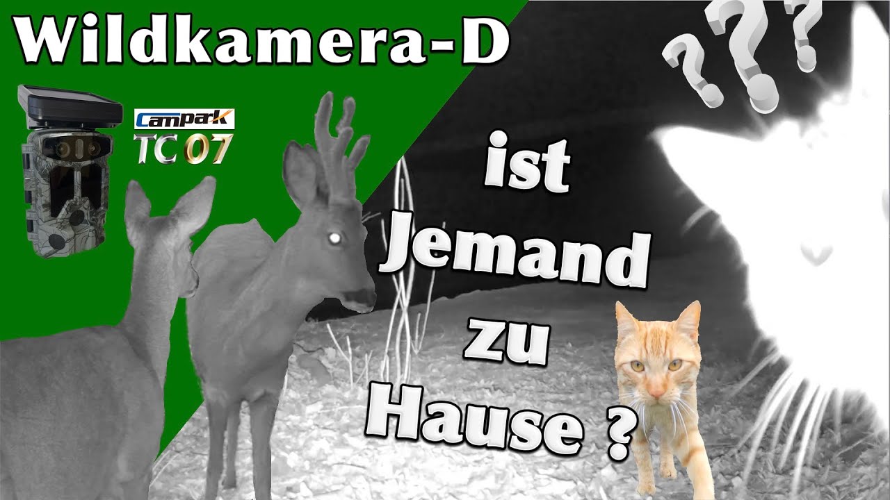 Ist Jemand zu Hause? Aufnahmen mit der Campark TC07