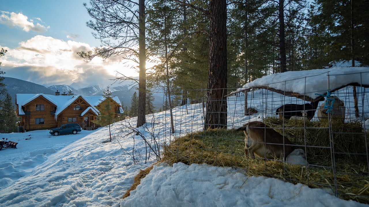 Montana Haven- Log Home And Mountain Homestead Tour