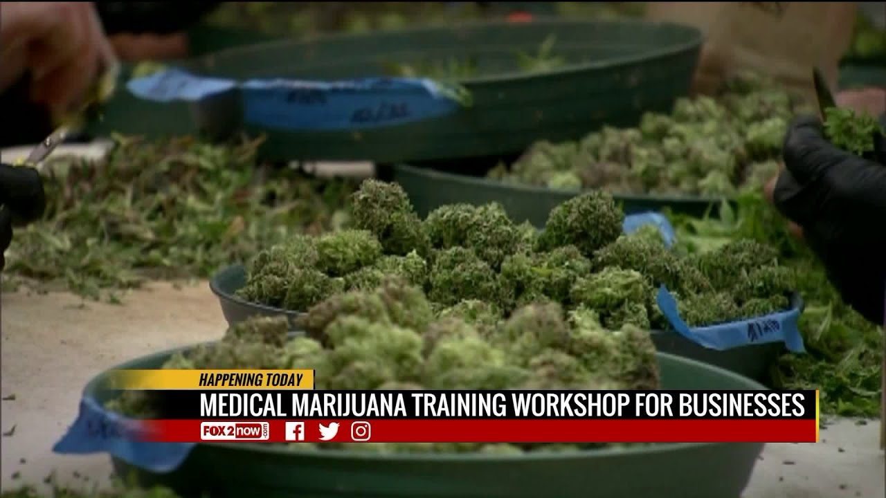 Missouri medical cannabis workshop