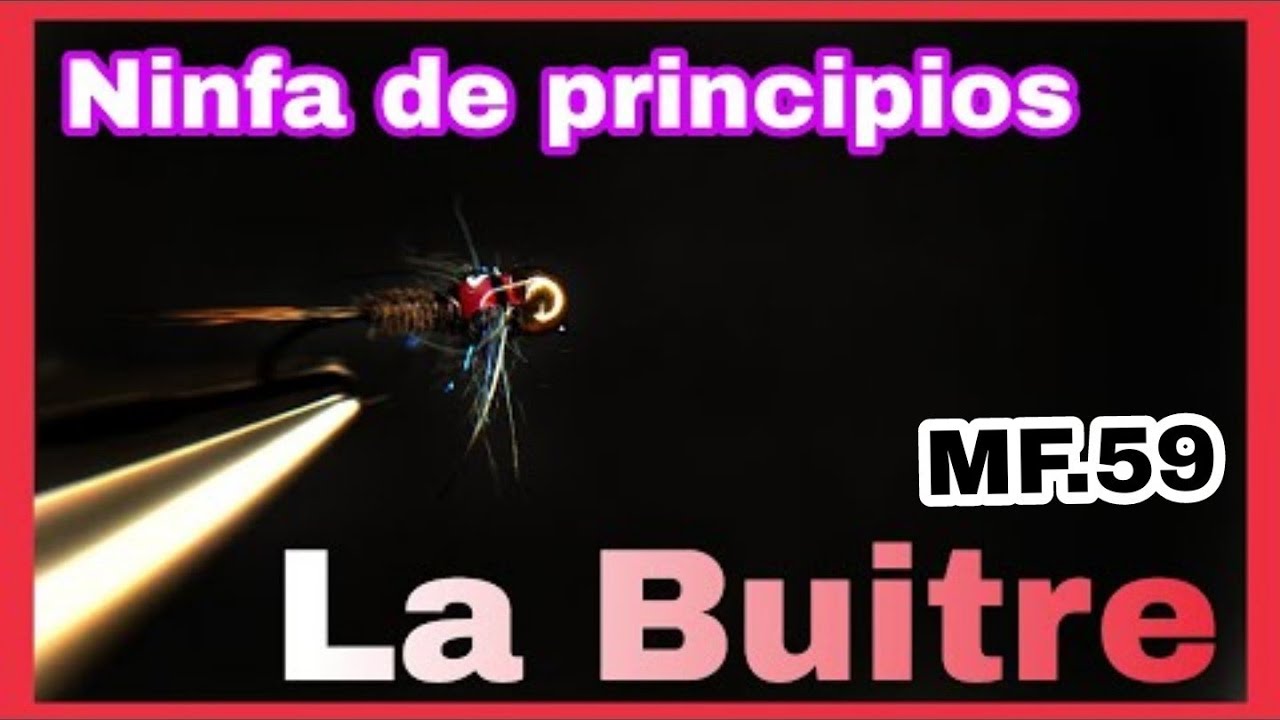 ⏩Montaje NINFA ESPECIAL de BUITRE.Fly tying special Nymph⏩