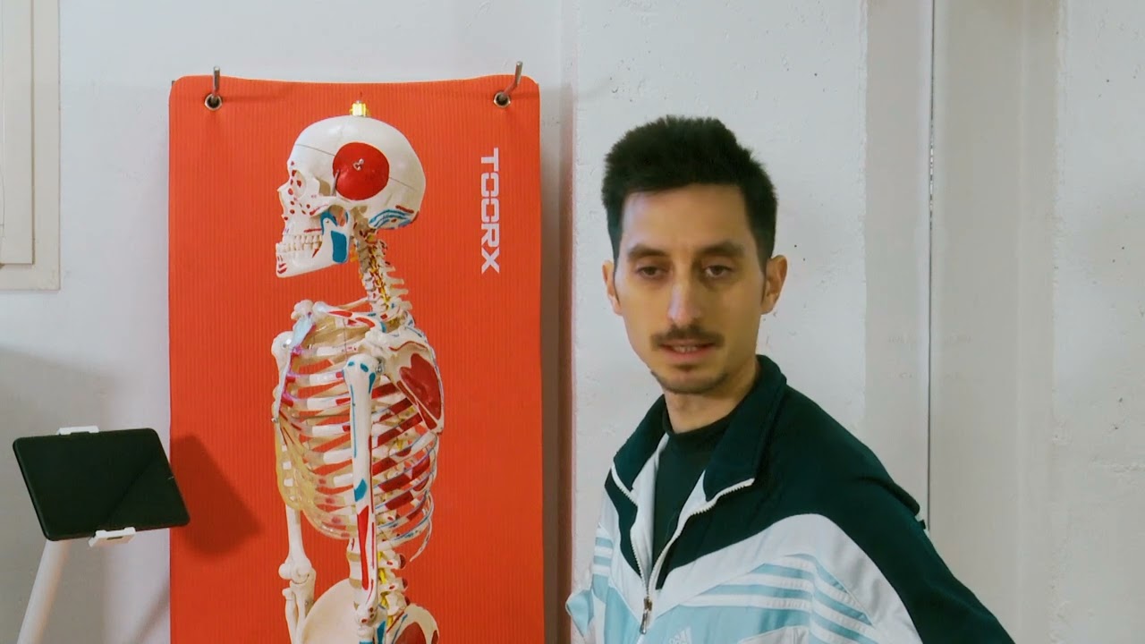 Benessere del Collo: Esercizi per la Cervicale