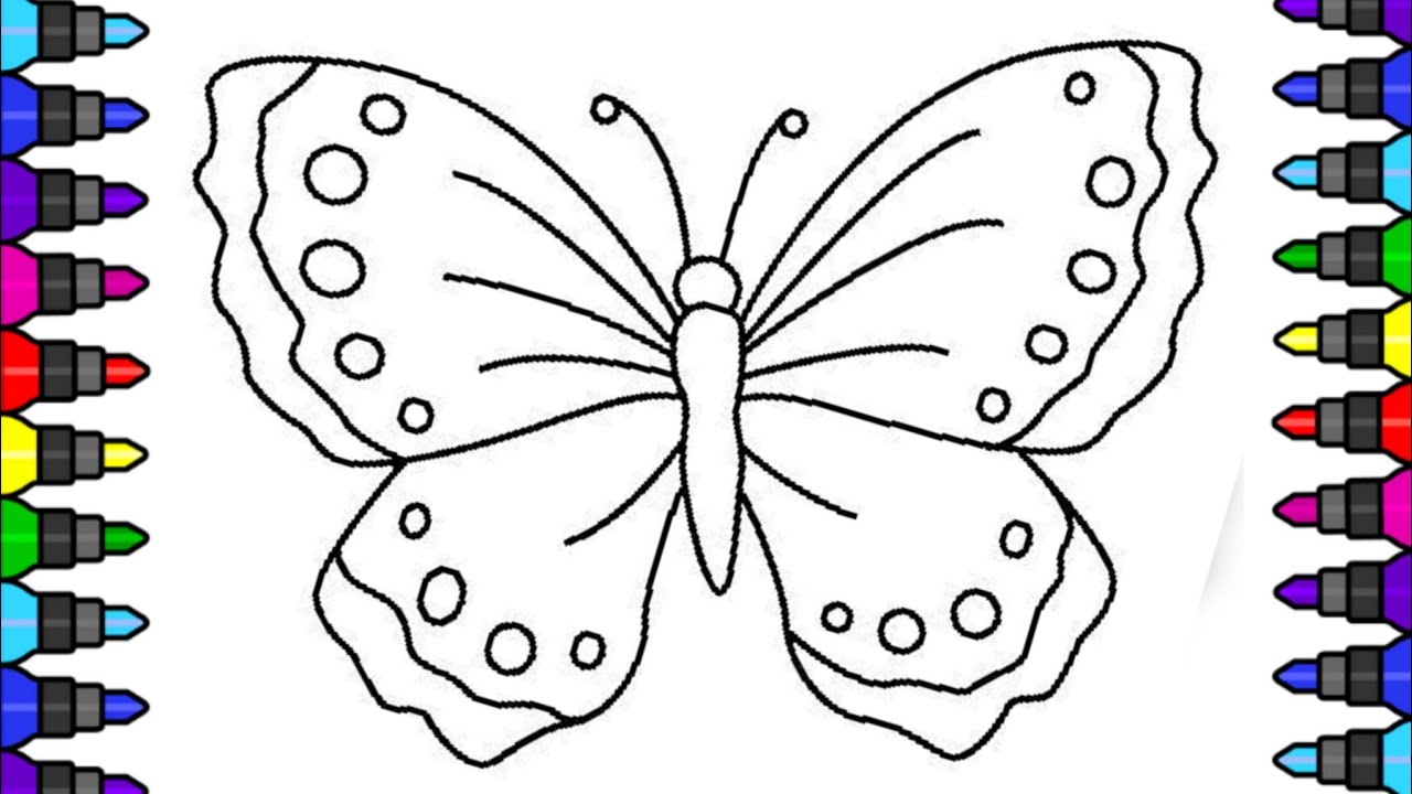 Butterfly Drawing for Kids | Easy & Cute Butterfly Drawing Step by Step | 