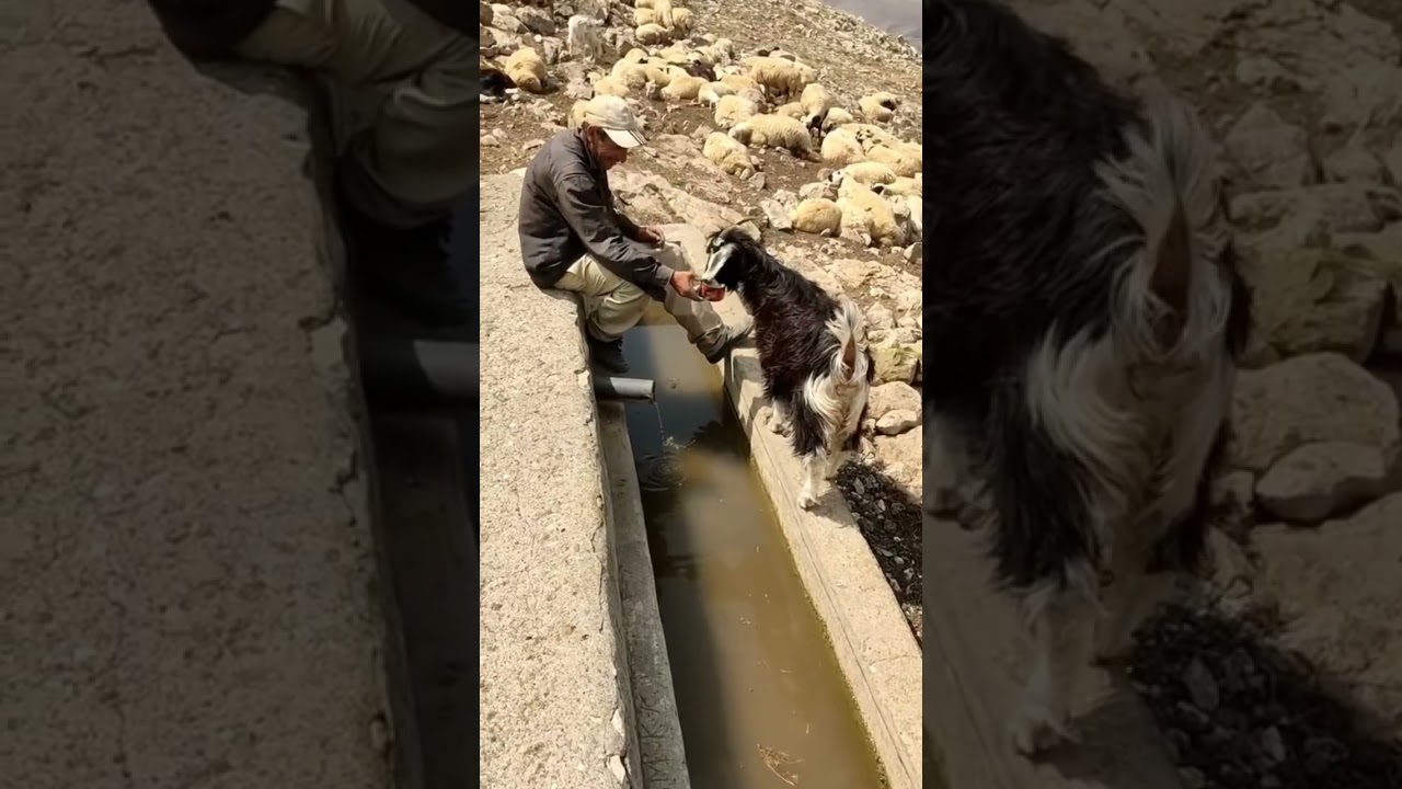 Mermerli köyü Kemah erzincan 