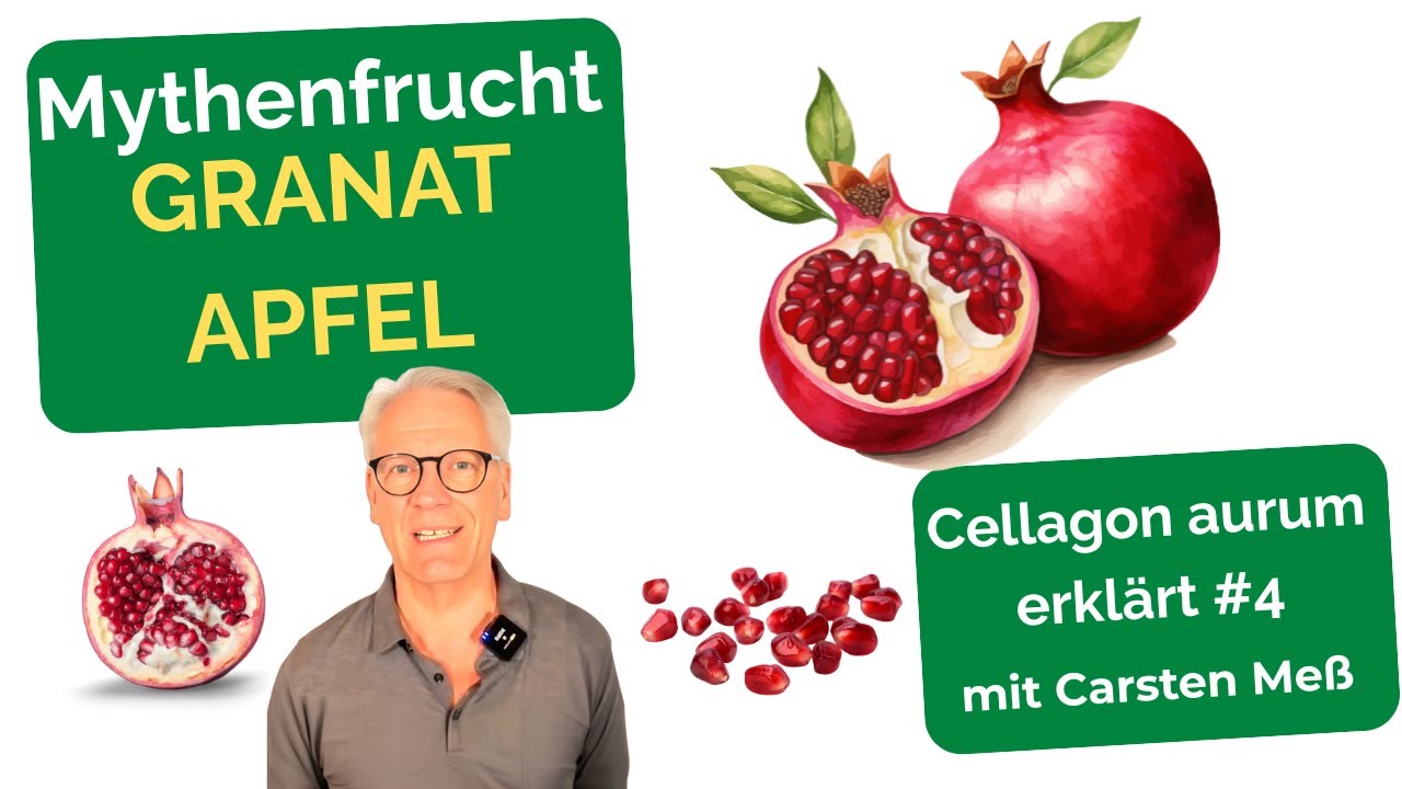 Granatapfel erkl&auml;rt: Geschichte, Fakten & Inhaltsstoffe | Zutat f&uuml;r Zutat erkl&auml;rt