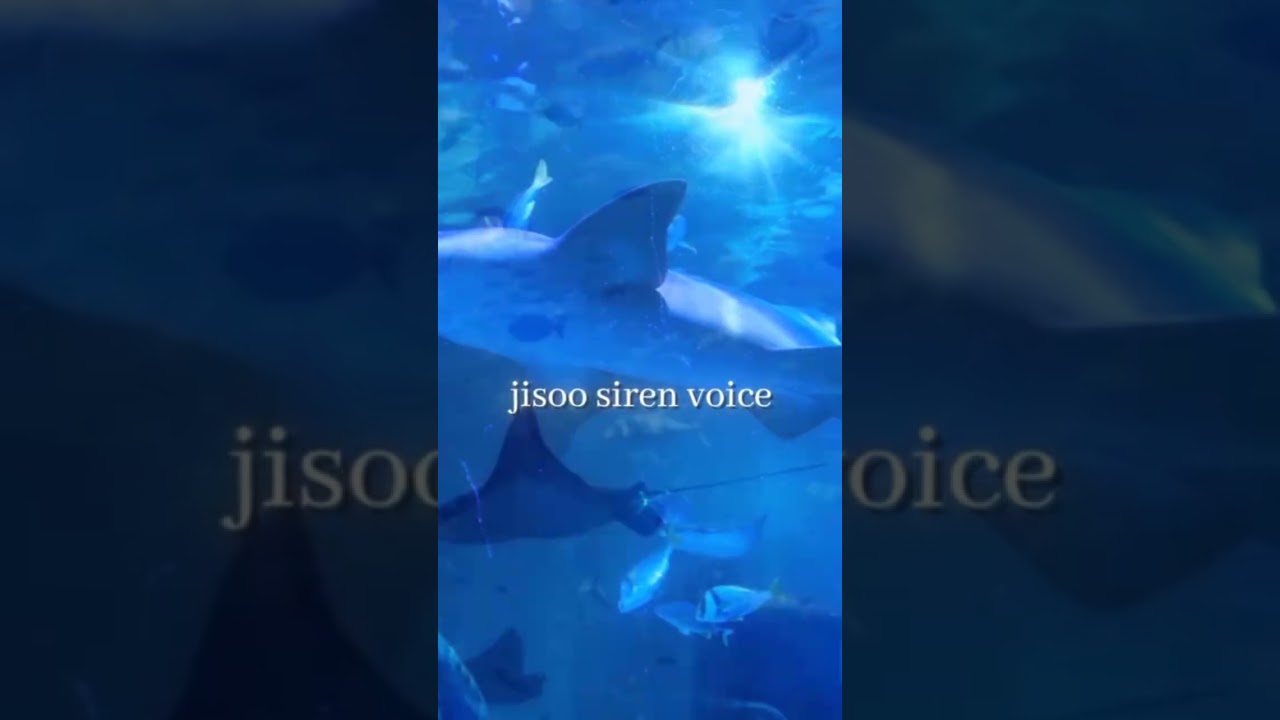 jisoo Siren voice ✨ 