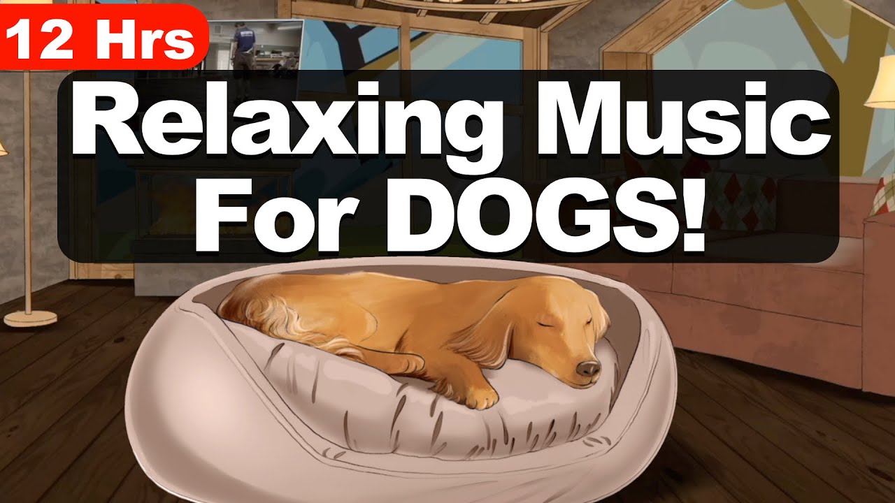 12Hrs Of Relaxing Music For Dogs To Sleep