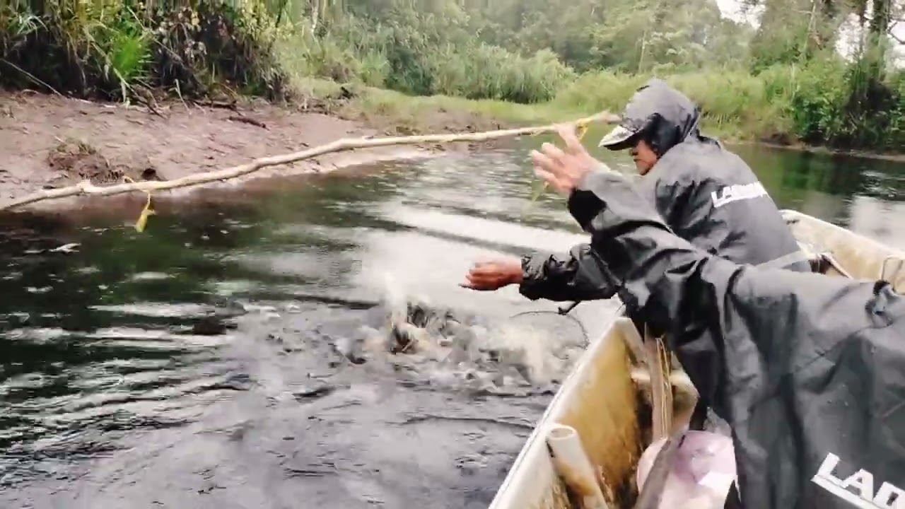 MENJENGUK TAJUL TAPAH DI WAKTU JAM ENAM PAGI,DAN ADA DAPAT BESAR😱😱