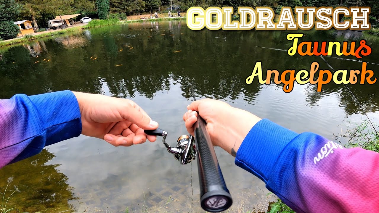 Goldrausch in Taunus Angelpark, Forellen angeln auf Sicht