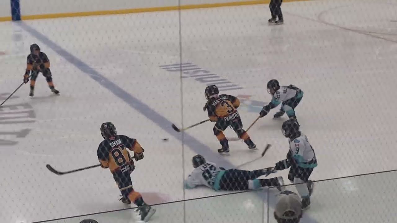 U10AA Semi Finals, Game 2: TNT Tornados vs South Simcoe Storm Minor Hockey, March 9, 2026