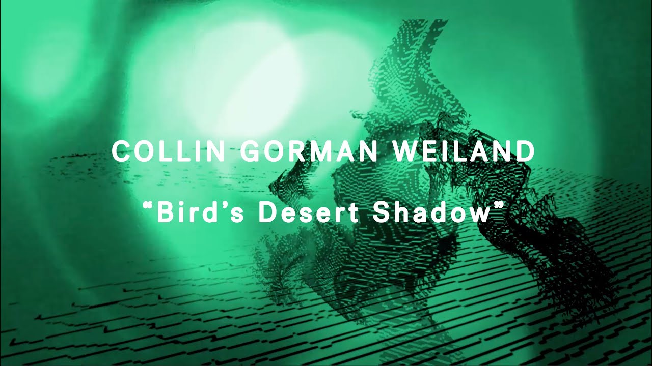 Collin Gorman Weiland - 