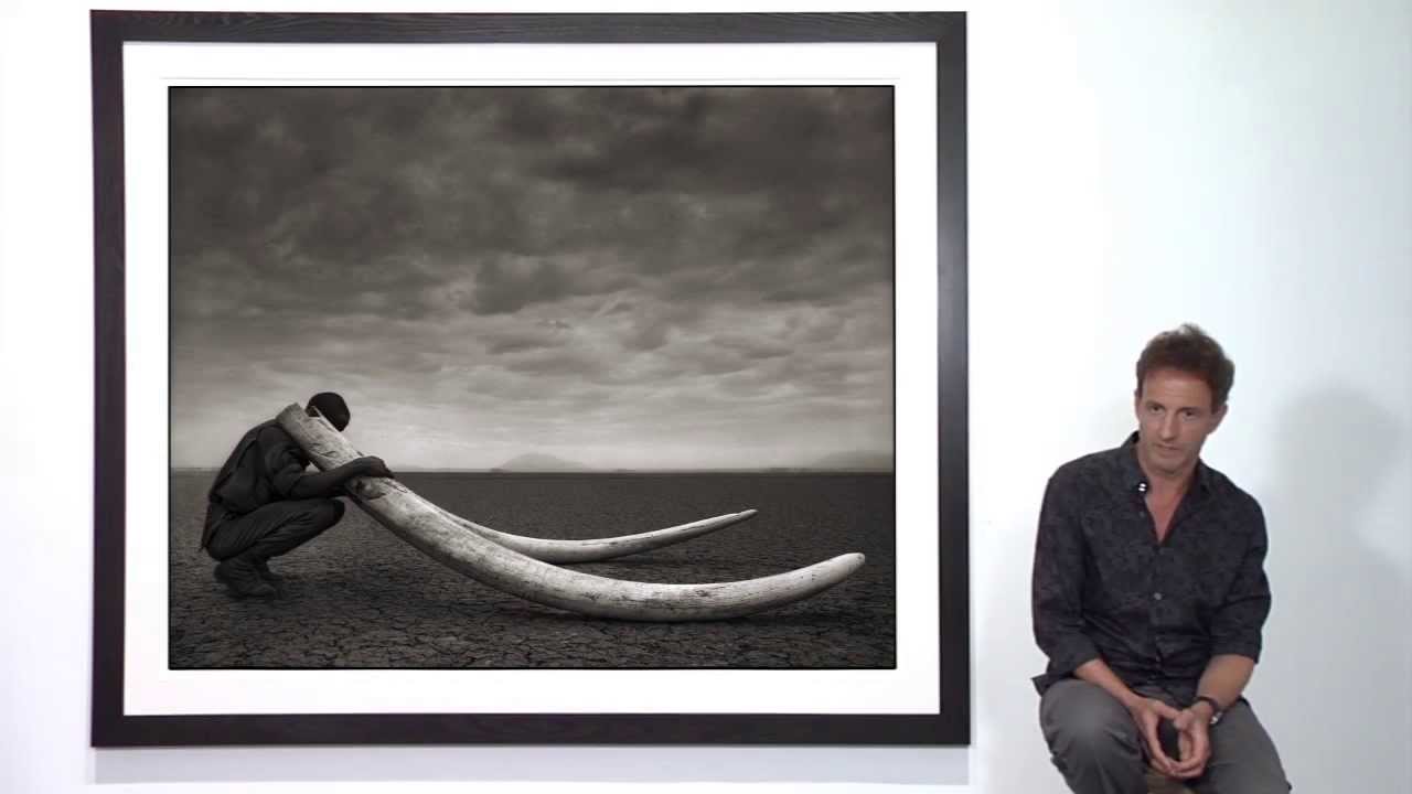 Nick Brandt: Across the Ravaged Land at Hasted Kraeutler in New York