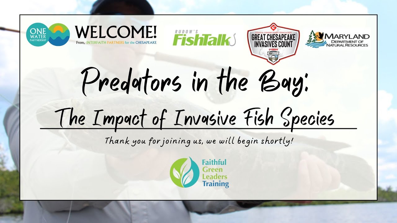 Predators in the Bay: The Impact of Invasive Fish Species Learning Lab
