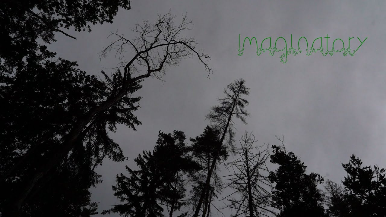 After the rain. 5 Minute Nature Meditation: Imaginatory