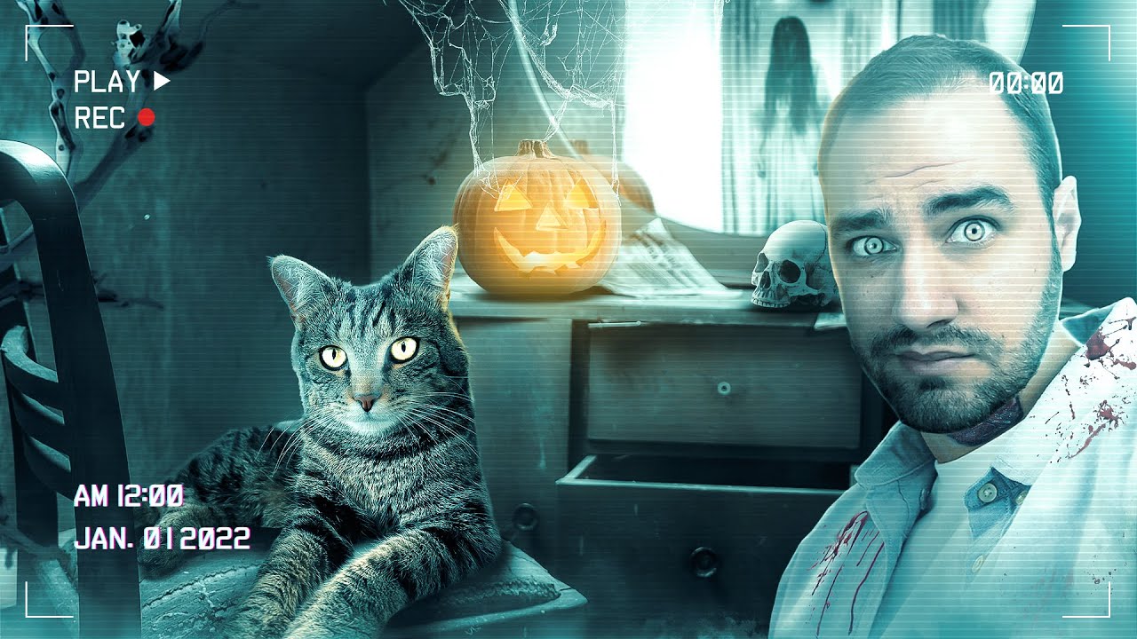 J'ai fait une décoration d'halloween avec mon chat  ! 😱