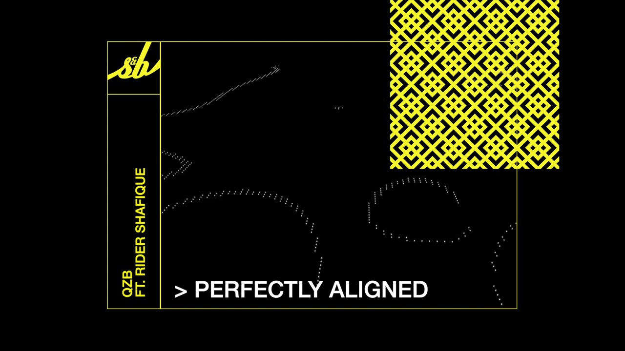 QZB ft. Rider Shafique - Perfectly Aligned