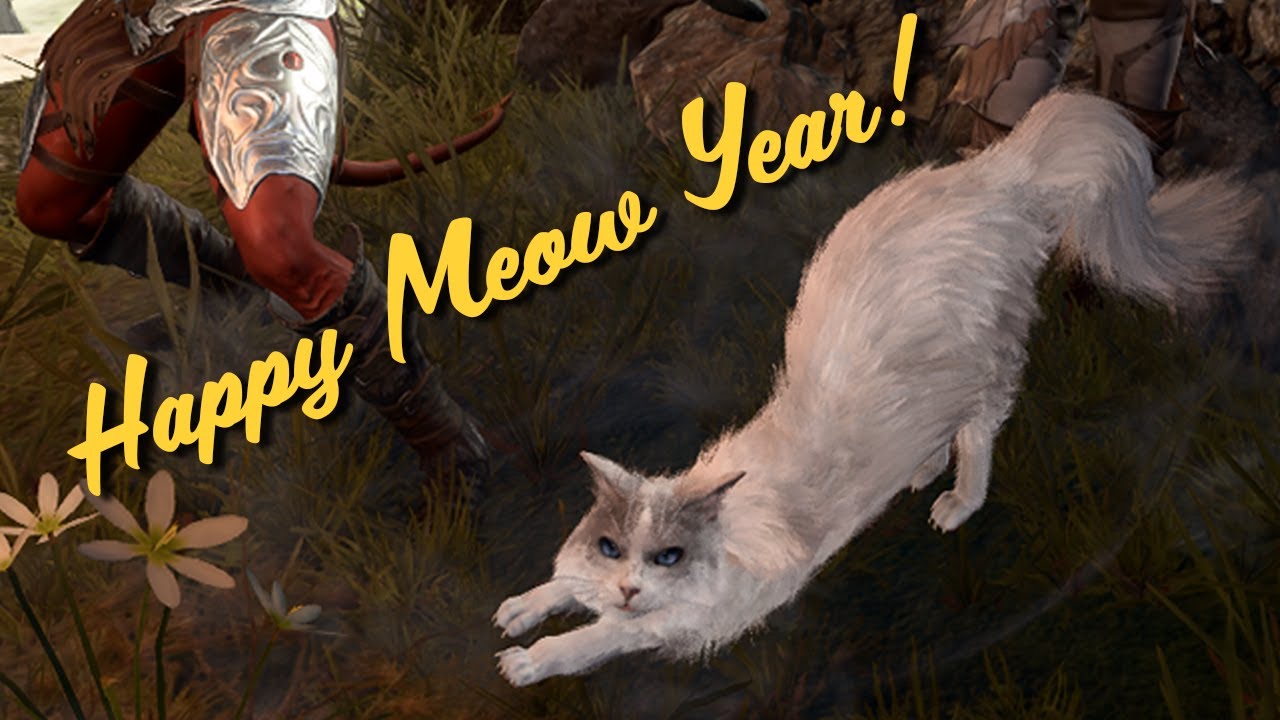 Emily Plays BG3 Part 12: Confirm Meow
