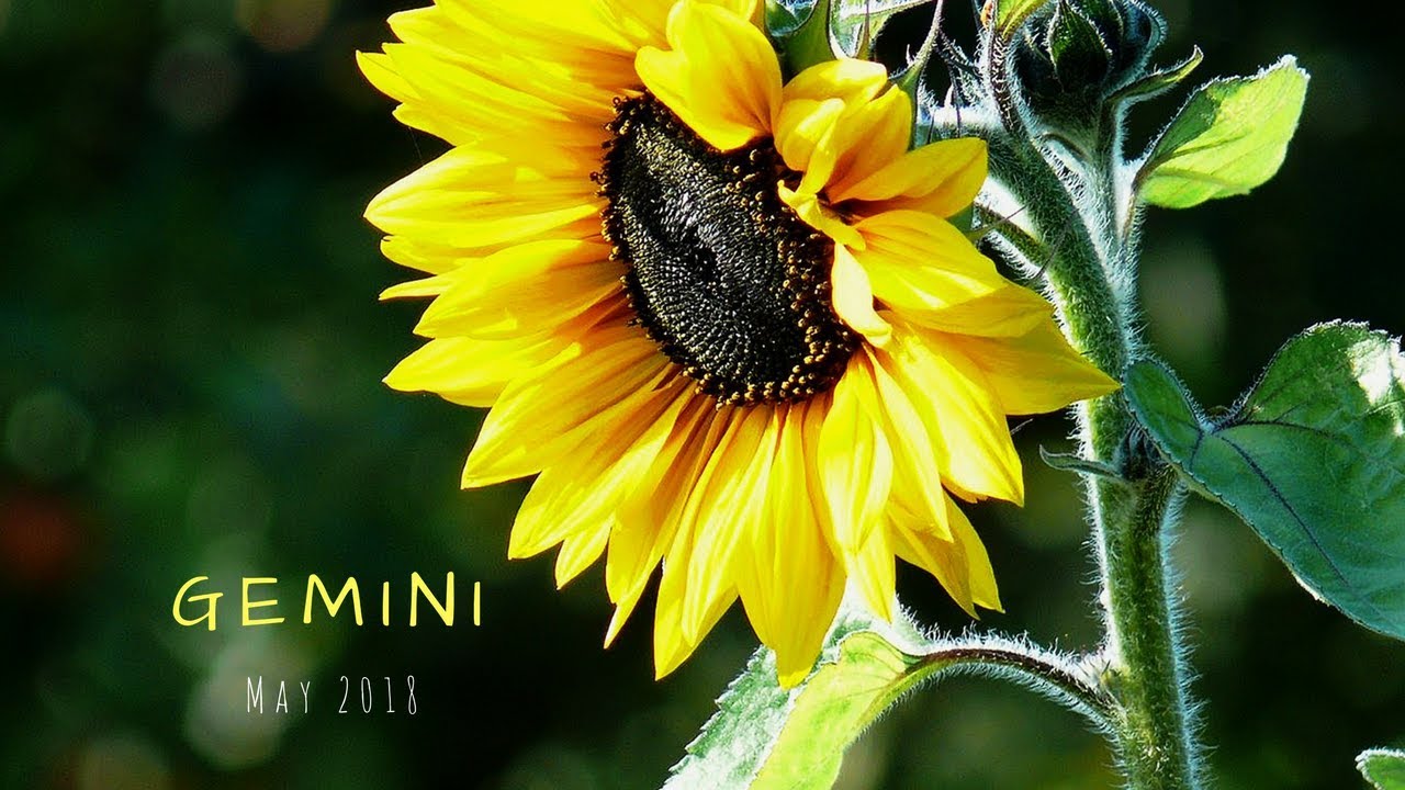 The old way is gone, GEMINI. May 2018