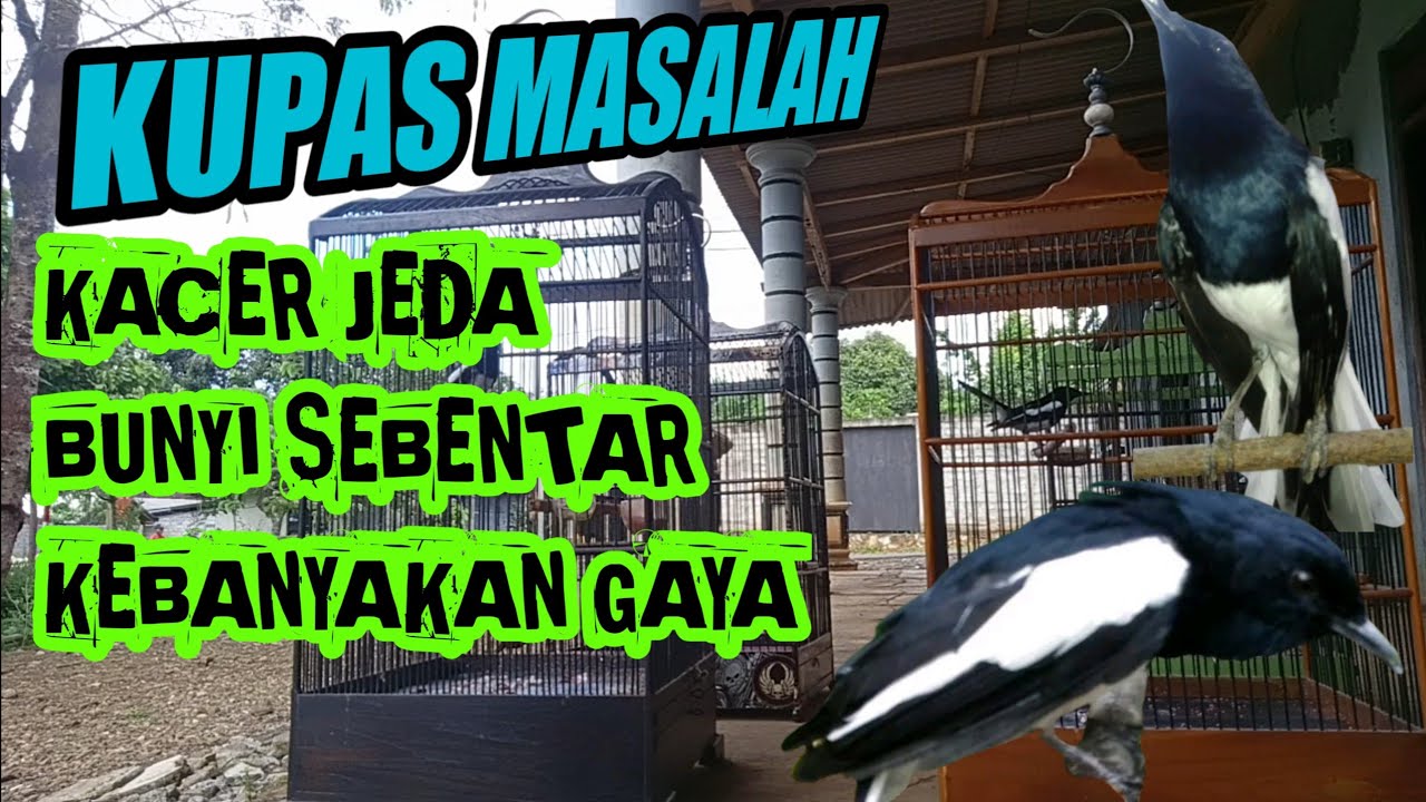 MENGATASI KACER MAIN JEDA