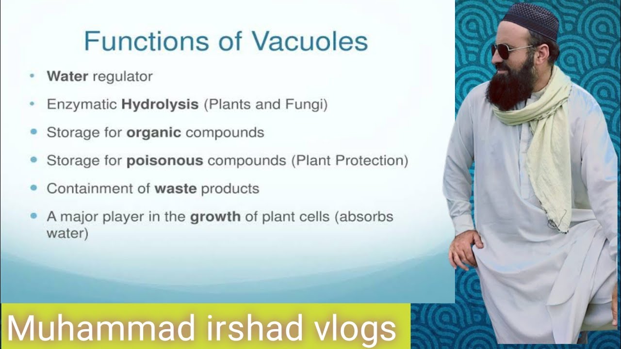 Function of vacuole | 9th class biology | in Pashto