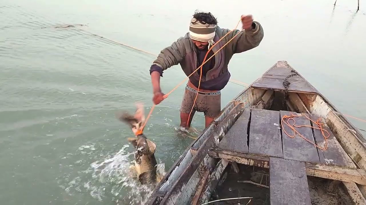 Indian River Net fishing video Big Monster Fish Hunting #dailyfishingvlog2 #fishing #indianfishing 