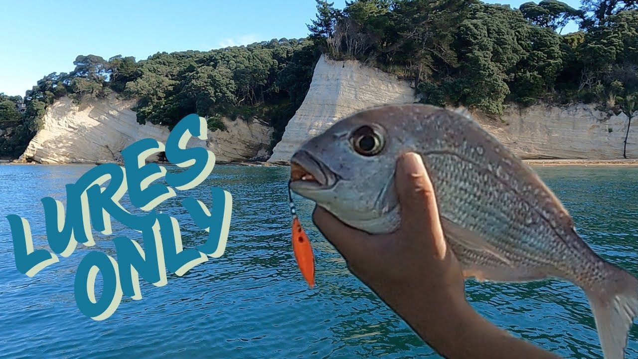 No bait Lures only work ups