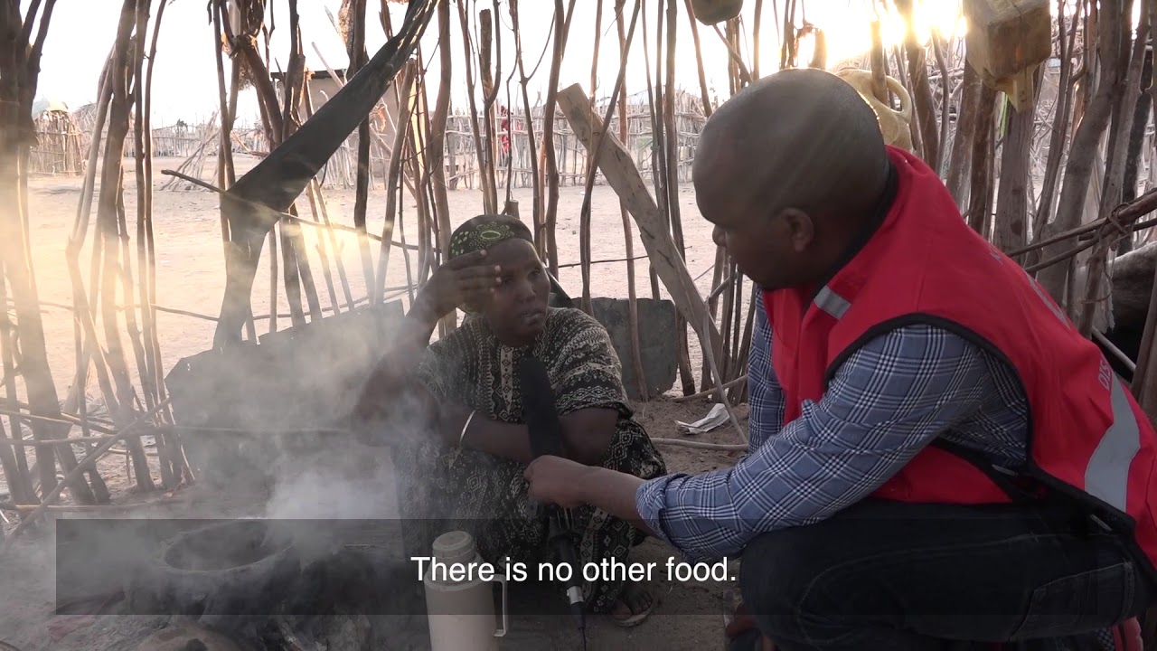 Drought Impact in Merti, Isiolo County