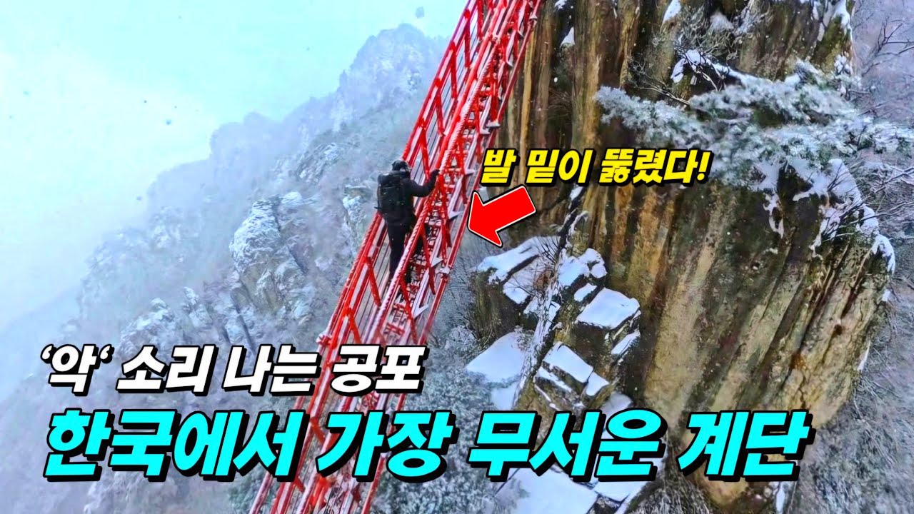 🚠 케이블카 내려서 딱 15분!! 다리는 후들거리는데 풍경은 미쳤습니다!