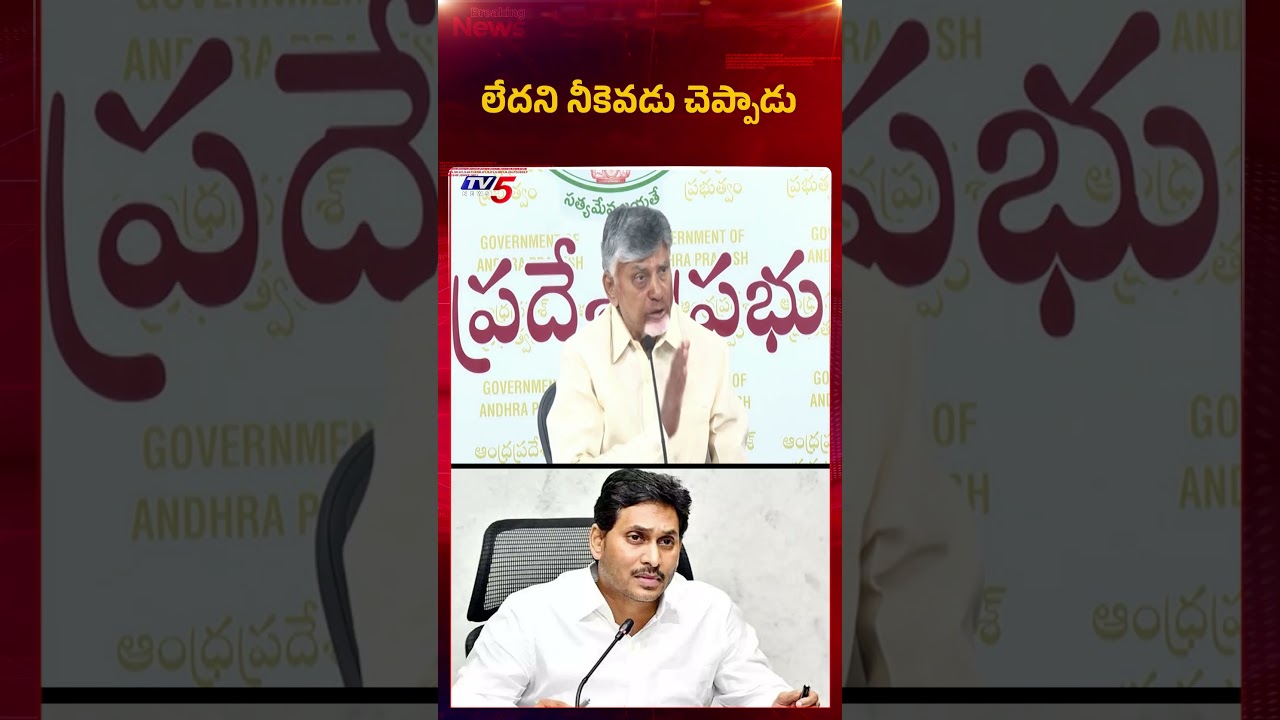 CM Chandrababu Strong Counter to YS Jagan | AP Political News | YSRCP | TV5 News