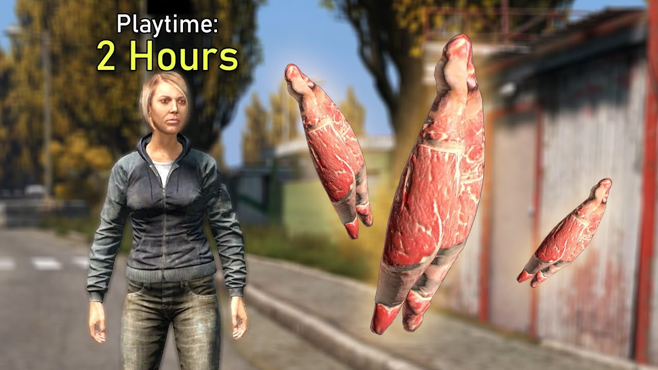 I Showed a DayZ NEWBIE the JOYS of 
