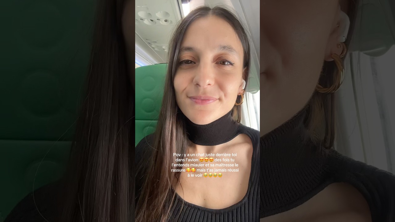 Pov : y a un chat juste derrière toi dans l’avion 😍😍😍