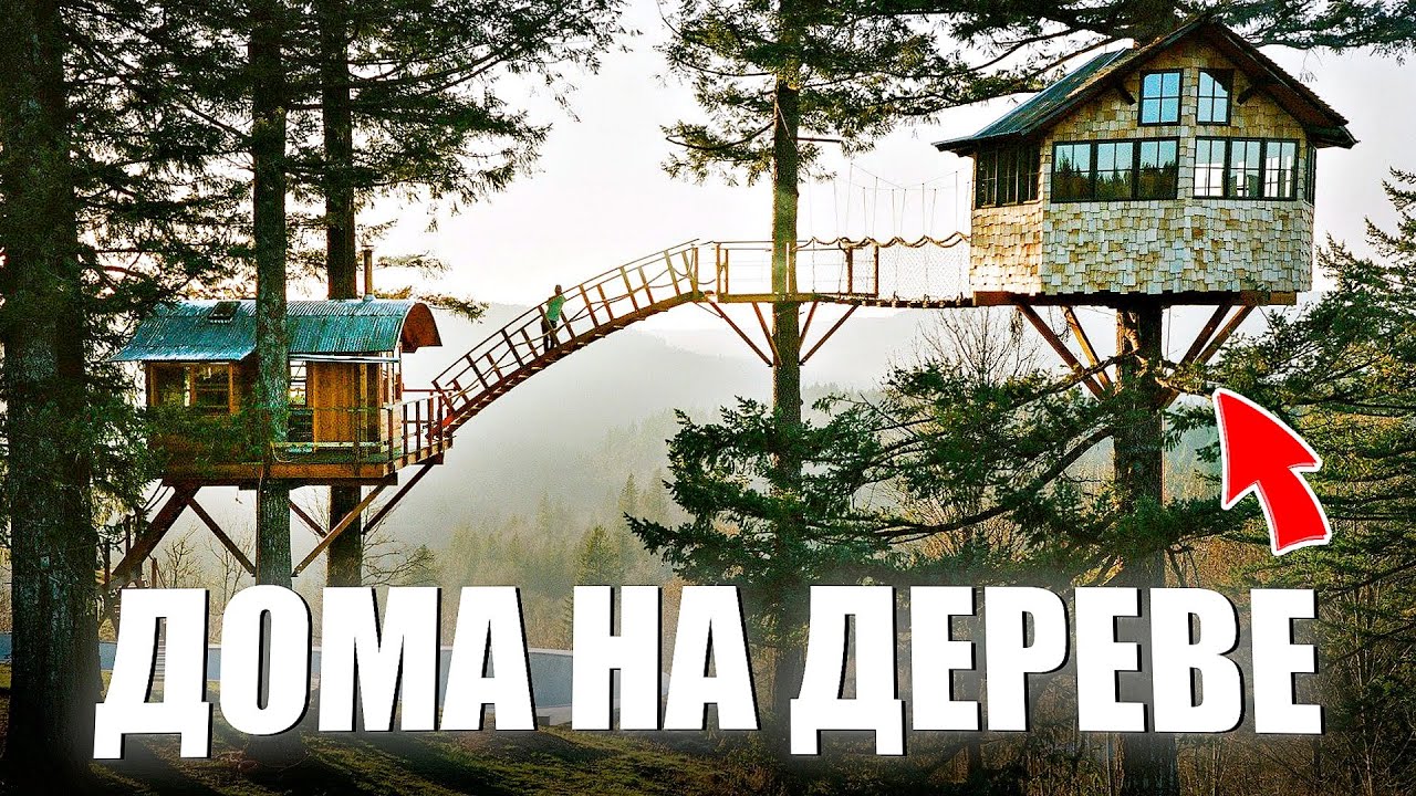 10 Самых Крутых Домов на Дереве