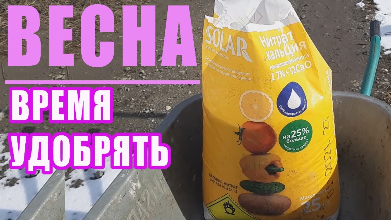 Чем удобрять малину и ежевику весной