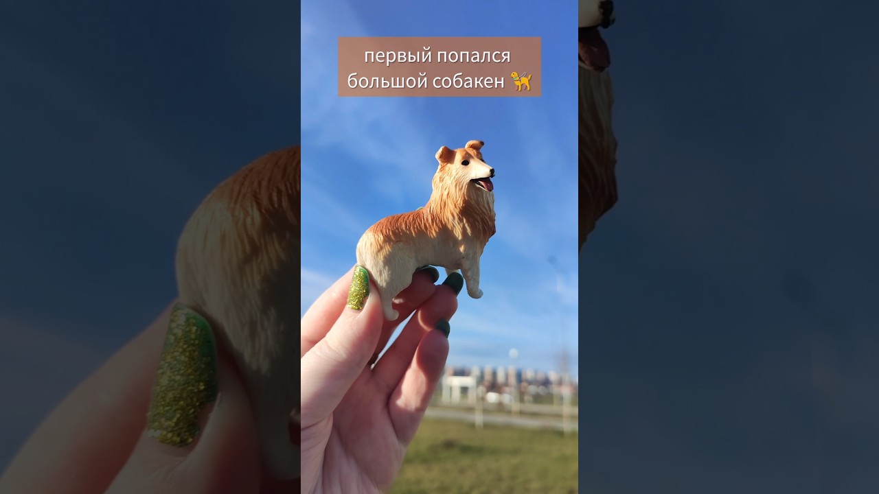 пакетики сюрпризы мини пэт 2.0 🐱🐶  из магазина красное белое кб фигурки котики собачки обзор