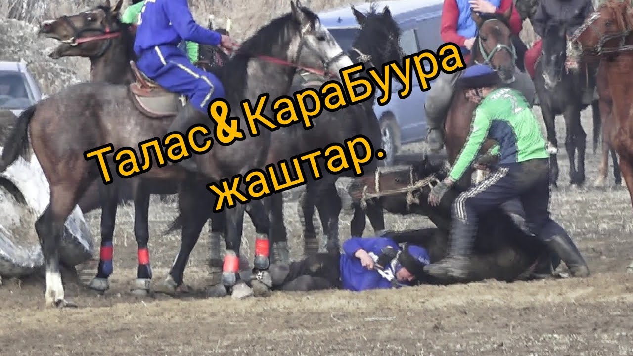 Кокбору 2022/Талас & КараБуура (жаштар) Талас Облусунун Кокбору боюнча чемпионаты.