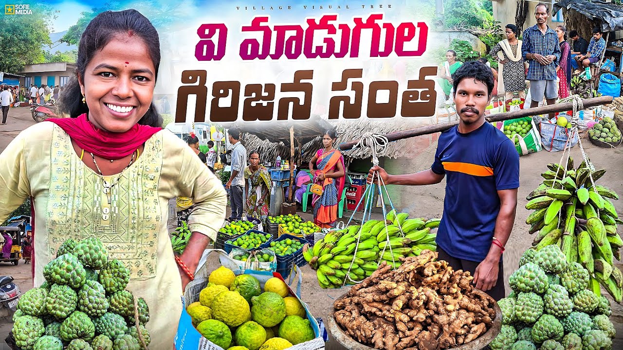 వి మాడుగుల గిరిజన సంత || v madugula tribal market || v madugula santha 